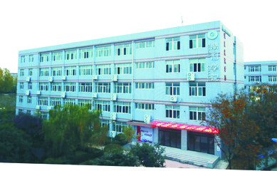 陜西職業(yè)技術學院2020年單獨考試招生簡章